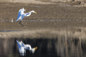 TerraCom BAC_July2024_CMEPS_ (3 of 94)