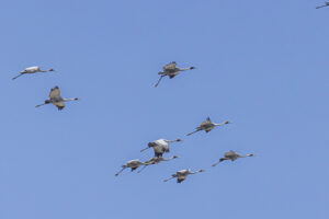 TerraCom_CMEPS_BAShoot_Oct2024--20