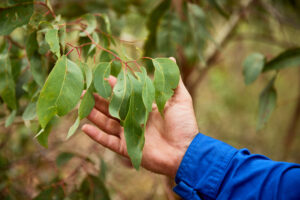 ┬⌐CMcConville_Scooter_TERRACOM_Nov2023_037_HR