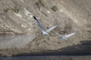 TerraCom BAC_July2024_CMEPS_ (1 of 94)